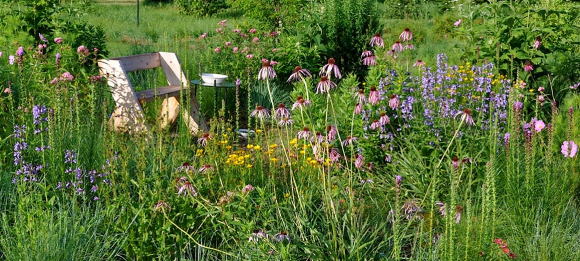 Door Landscape Native Plant Nursery, Wisconsin Landscaping And Garden Center