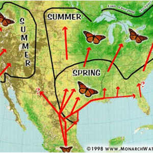 Door Landscape Monarch Migration Photo Gallery